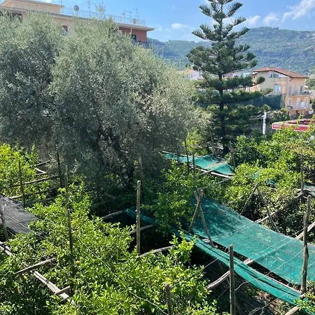 Sorrento'S Carme Family Big Appartament Exterior photo