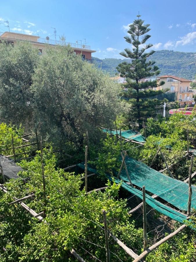 Sorrento's Carme Family Big Appartament Apartment Sorrent